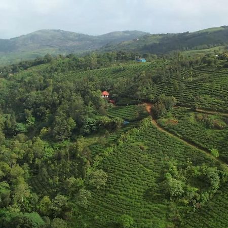 Penzion Tea Haven By Yathroam Vagamon Exteriér fotografie