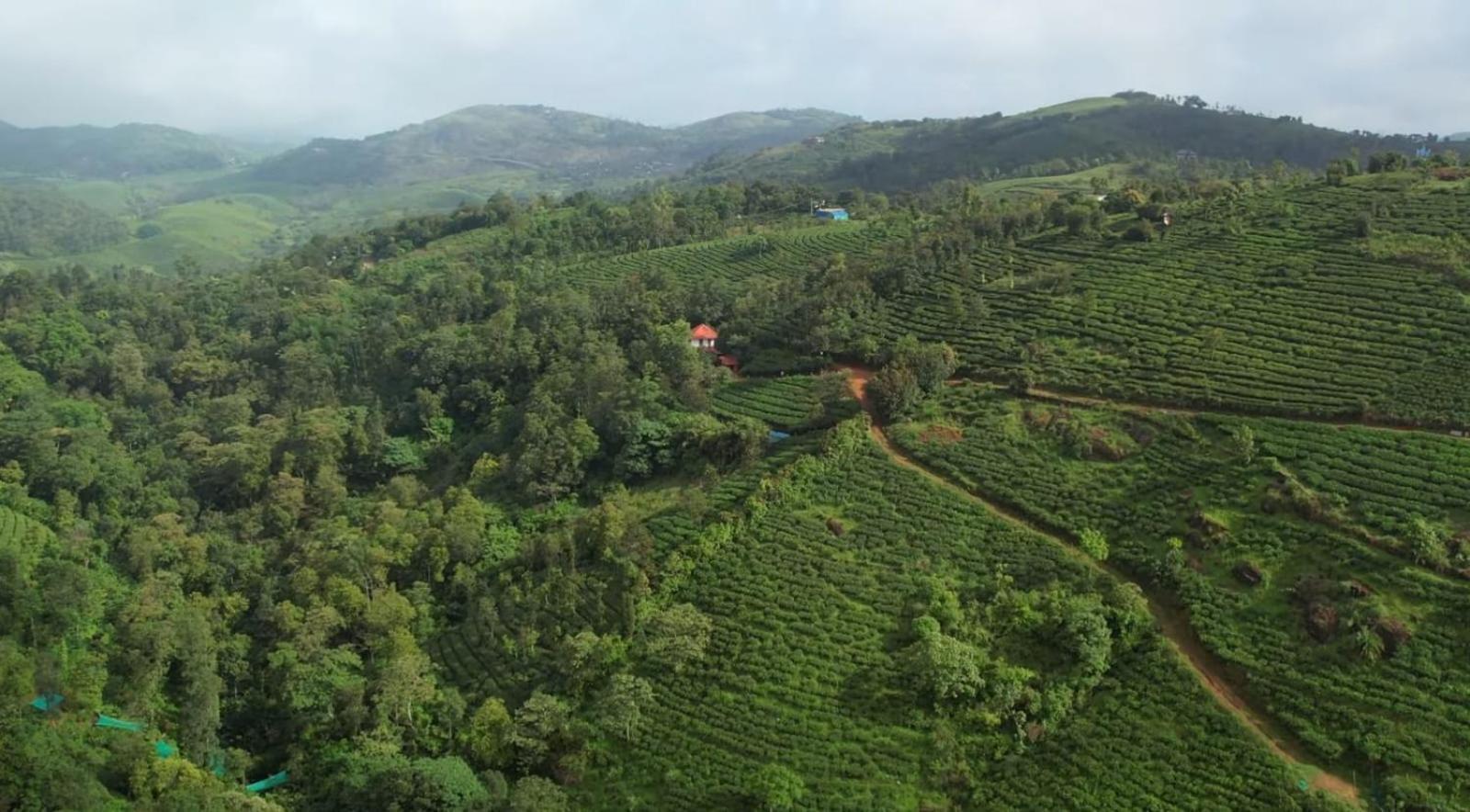 Penzion Tea Haven By Yathroam Vagamon Exteriér fotografie