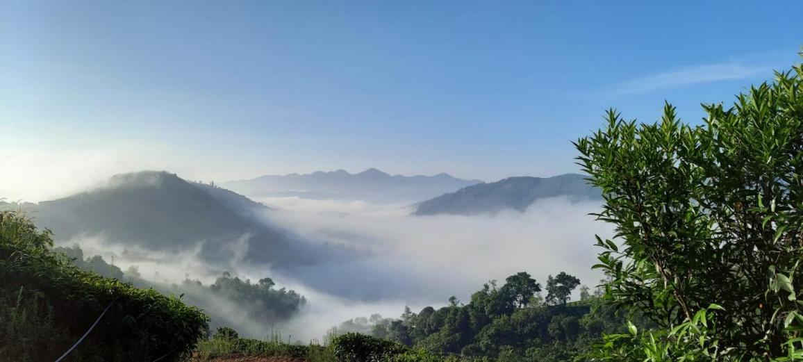 Penzion Tea Haven By Yathroam Vagamon Exteriér fotografie